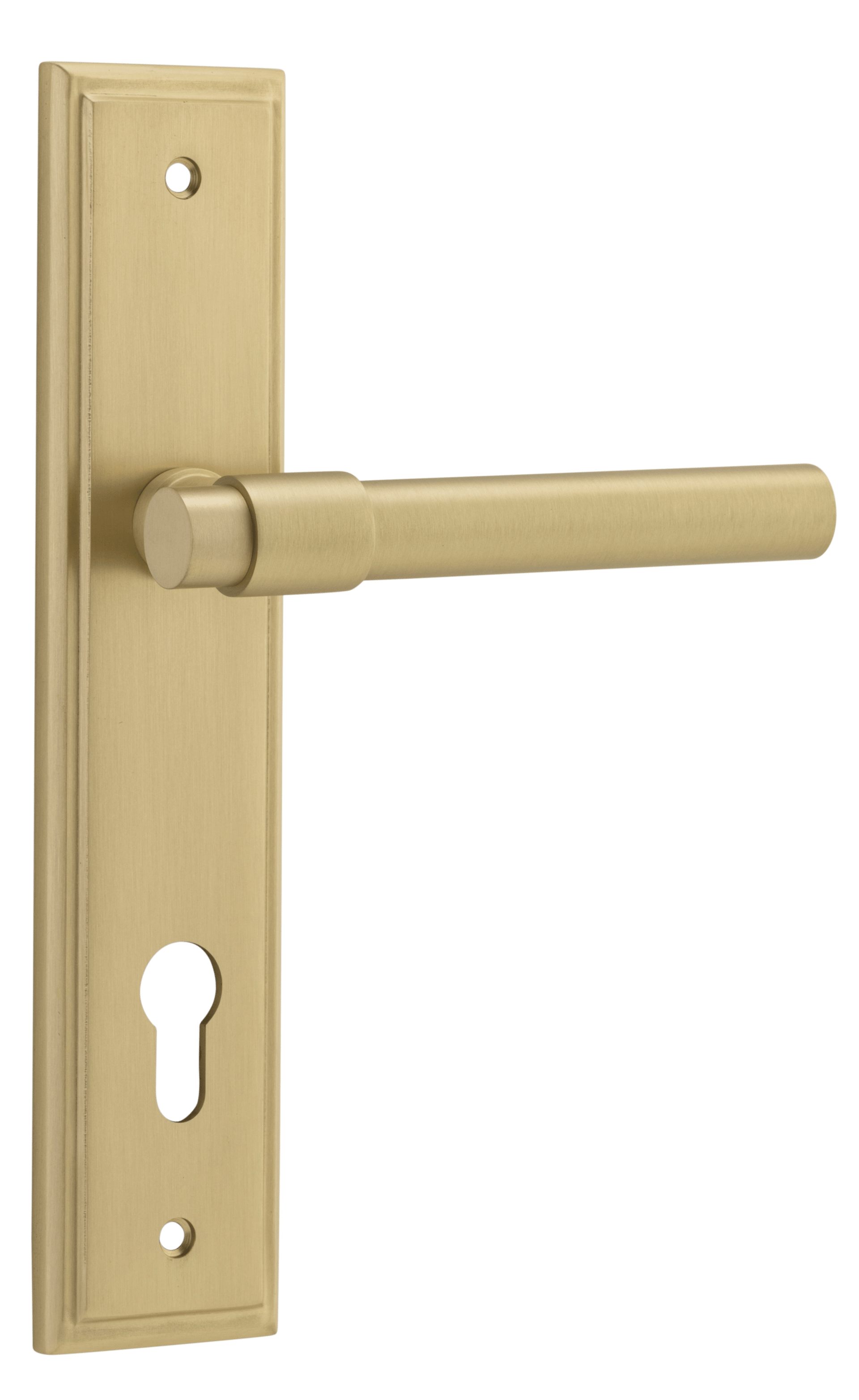 Helsinki Lever - Stepped Backplate - Ella Grace - Iver - Brushed Gold PVD - Door Levers