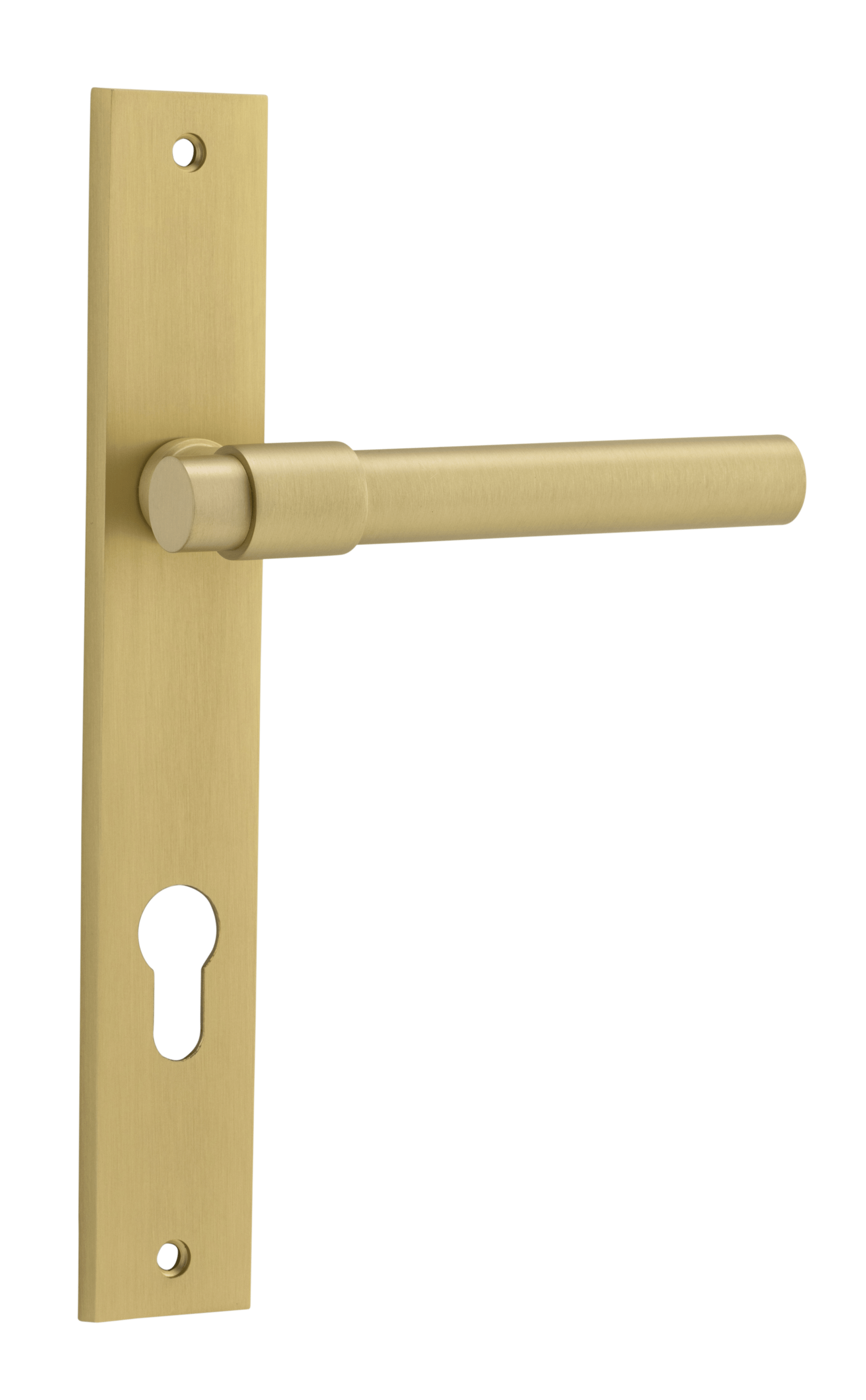 Helsinki Lever - Rectangular Backplate - Ella Grace - Iver - Brushed Gold PVD - Door Levers